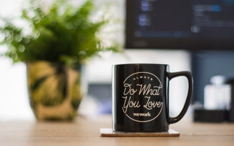 WordPress：数字世界的“空气与水”